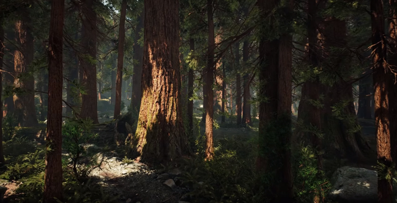 redwoodforestcollectionue4红杉树森林植物场景环境素材文件免费下载